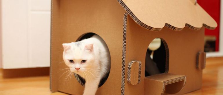 Будиночок для кішки з картонної коробки.